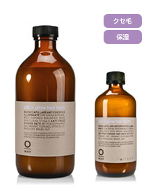 ローランド　シルキングロー・ヘアバス